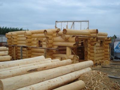 Armhole Vertical Thumbnails